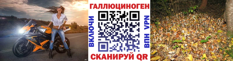 цены наркотик  Муром  Псилоцибиновые грибы Psilocybe 